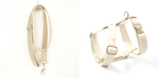 Dog collar traction rope (Option: Set-XS)