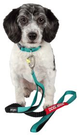 Dog Helios Neo-Indestructible Easy-Tension Sporty Embroidered Thick Durable Pet Dog Leash And Collar (Color: Aqua Blue, size: large)